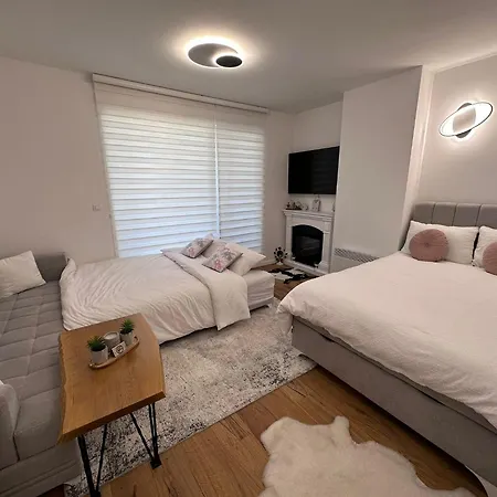 Grey Igloo